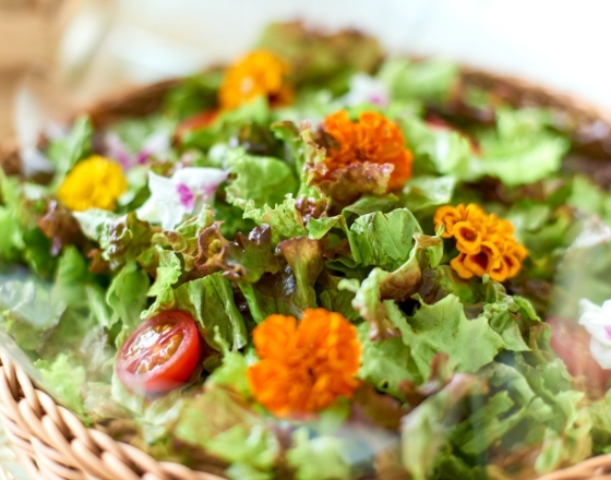 東京PAPA COOKの新鮮野菜のメランジェサラダの画像