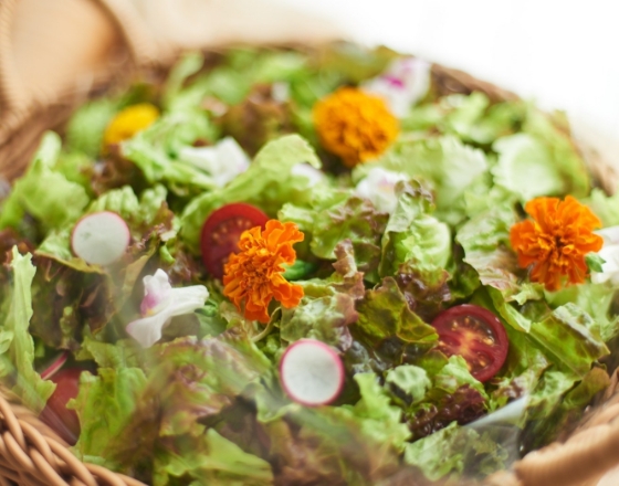 東京PAPA COOKの新鮮野菜のメランジェサラダの画像